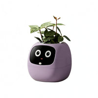 Face Planter Glossy Black Desktop Planter Rounded