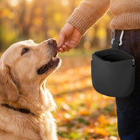 Pet Training Pouch Portable Dog Treat Bag Hand Hands-Free for Walking, Outdoor