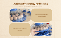Egg incubator with auto turner