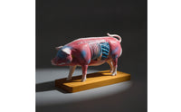 Pig Therapeutic Point Training Model Model Training Animal Therapeutic Point Training Model Structural Model Educational for Veterinarians