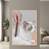 Hair Comb for Long Haired Pets, Skin-Friendly Cat Comb and Dog Comb with Pin Comb Head, Wood Handle Detangling Comb, General Use Dual Spacing