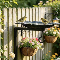 Wall Mounted Bird Feeder Vintage Design Garden Decor Weather-Resistant for Patio