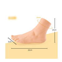 Realistic Foot Model Naturalistic PVC Foot Model Lightweight for Shoe Fitting