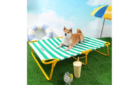 Raised Pet Bed Raised Pet Cot Water Resistant for Dogs, Pets