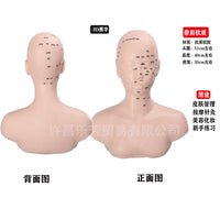 Half Body Mannequin Head for Salon Massage Practice and Acupoint Learning