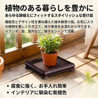 Square Plant Saucer 22cm, Resin-made, Leak-proof Tray, For Indoor Gardening and Balcony Gardening