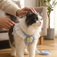 Walking Harness and Leash Set, Lace Dress for Small Medium Pets, Non-Retractable Walking Set for Small Pets