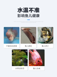 Aquarium Thermometer LED Electronic Digital Display High Precision Water Temperature Gauge for Fish Tank