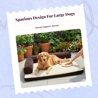 Removable Dog Sofa Bed, Non-Slip Comfort Mat
Easy to Clean