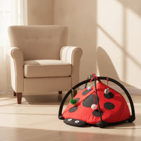 Ladybug Pet Tent Interactive Cat Playhouse Compact for Cats, Kittens