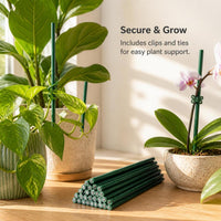 Plant Support Stakes for Climbing Plants and Potted Flowers