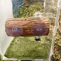 Wooden Lizard Suction Cup Resin Decoration Reptile Hide for Crested Gecko Giant Gecko