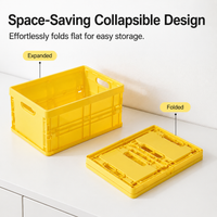 2 Pcs Folding Storage Crates, 3L Stackable Storage Crates, Compact PP Collapsible Crates for Home Organisation, Study Desk Organizer
