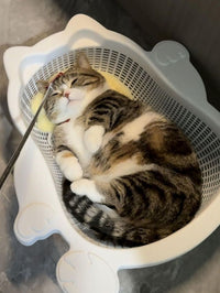 加厚舒适可抓降温PP耐透气猫床猫窝夏季水洗凉爽菜篮子垫子宠物窝