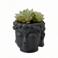 Buddha Head Plant Pot Closed Eyes Buddha-Head Planter Textured Hair