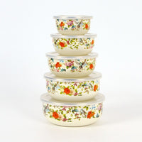 Enamel Food Storage Bowl Set with Lids, Sealed, for Refrigerator, Portable Five-Piece Set