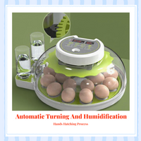 Egg Incubator, Auto Temp & Humidity, Hatching Birds