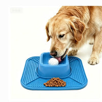 Anti-Slip Slow Feeder Bowl for Pets