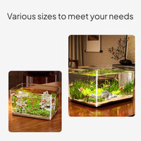 Desktop PET Aquarium, Transparent Turtle Habitat