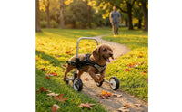 Front Leg Dog Wheelchair Four-Wheel Pet Front Leg Wheelchair Stable