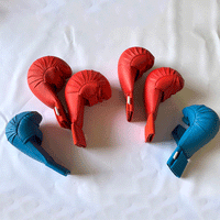 Boxing Gloves for Adults, Karate Protective Gear, Fitness and Combat Training