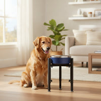 Stainless Steel Adjustable Elevated Dog Bowl Stable Raised Dog Bowl for Dogs, Home