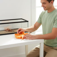 Maple Foliage Pet Bowl Easy to Clean Foliage Shaped Feeding Bowl Gecko Feeding Tray Sleek Surface Amphibian Food Plate