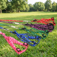 Dog Harness and Dog Leash Set with Buckle Closure, Polyester Pet Harness for Small Pets, Comfortable Cat Harness for Young Dogs and Kittens