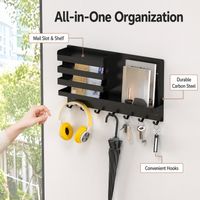 Wall Mounted Organizer with Tray, Carbon Steel Storage Rack, Space Saving Hanging Organizer for Kitchen, 10kg Load