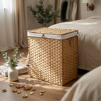 Laundry Hamper with Lid Collapsible Bin Portable for Closet