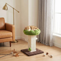 Scalloped Edge Scratching Post Cat Tree Hanging Ball Toys Small Cat Tree Green and Brown Sisal Scratching Post Stable Base