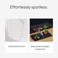 Acrylic Desktop Fish Tank with Lid, Goldfish Aquarium Set