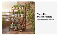 Multi-Tier bloom Pot Holder Space-Saving Display Shelf Easy to Assemble