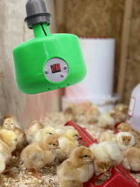 宠物暖风机保温灯养殖芦丁鸡取暖器蜜袋鼯鹦鹉小鸡育雏温控加热灯