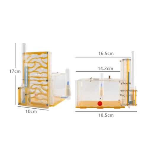 Acrylic Nest Environmentally-Friendly Transparent Nest Expandable Design
