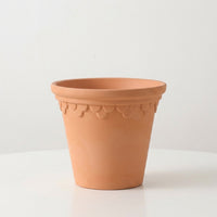 Plant Pots for House Plants and Indoor Plants, Pack of 3 Baroque Embossed Flower Pots, Terracotta Pots with Saucers and Drainage Holes, 6 Inch