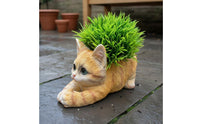 Kitten Flower Pot Decorative Ornament Cat Shaped Planter for Desktop, Gardeners