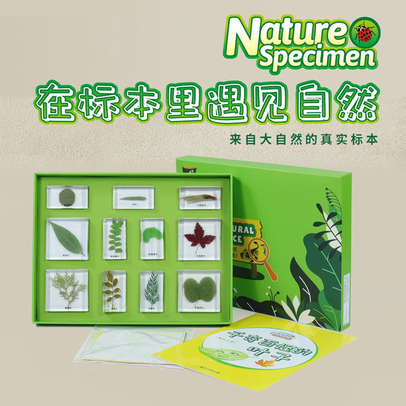 Children's Science Specimen Kit