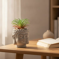 Cement Pot with Raised Pattern Carved Cement Planter Stone-Look for Desk, Office