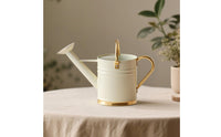 Long Spout Watering Can Leak-Resistant Metal Watering Pot Accents Gardening Tool for Balcony, Office
