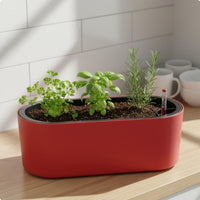 Plant Pots and Planters Outdoor for Garden, Floor Standing Flower Pots with Legs, Rectangular Planters for Balcony, 42.5*15cm Potato Planter