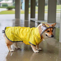 Dog Raincoat with Clear Hood Waterproof Hooded Dog Raincoat Full-Coverage for Dogs, Rainy Walks, Outdoor Activities