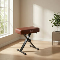 Adjustable Piano Bench Compact Piano Bench with Padded Seat Heavy-Duty Furniture for Students