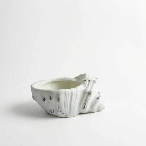 Conch Shell Planter Decorative Succulent Planter Beach Themed