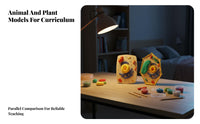 Hands-on Learning DIY Cell Model Kit STEM Toy Creature and Plant Cell Model Promotes Creativity for Students, Teens, Classroom