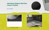 Bathroom Mat, Diatomaceous Earth Bath Rug, Quick Dry, Non-Slip, Absorbent, Thick Floor Carpet