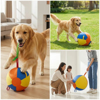 Dog Ball with Loops Dog Ball with Straps Oversized Toy for Tug Play