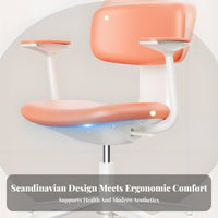 Ergonomic Task Chair Thick Padded Seat mid-rangespinal Mesh Task Chair for Study Room