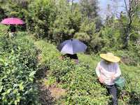 弯钩长晴雨伞背后式专用撑伞肩带户外钓鱼采茶遮阳支撑打伞固定器