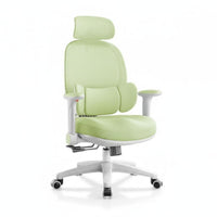 Ergonomic Desk Seat Compact Size Swivel Chair Adjustable Armrests for Study Room